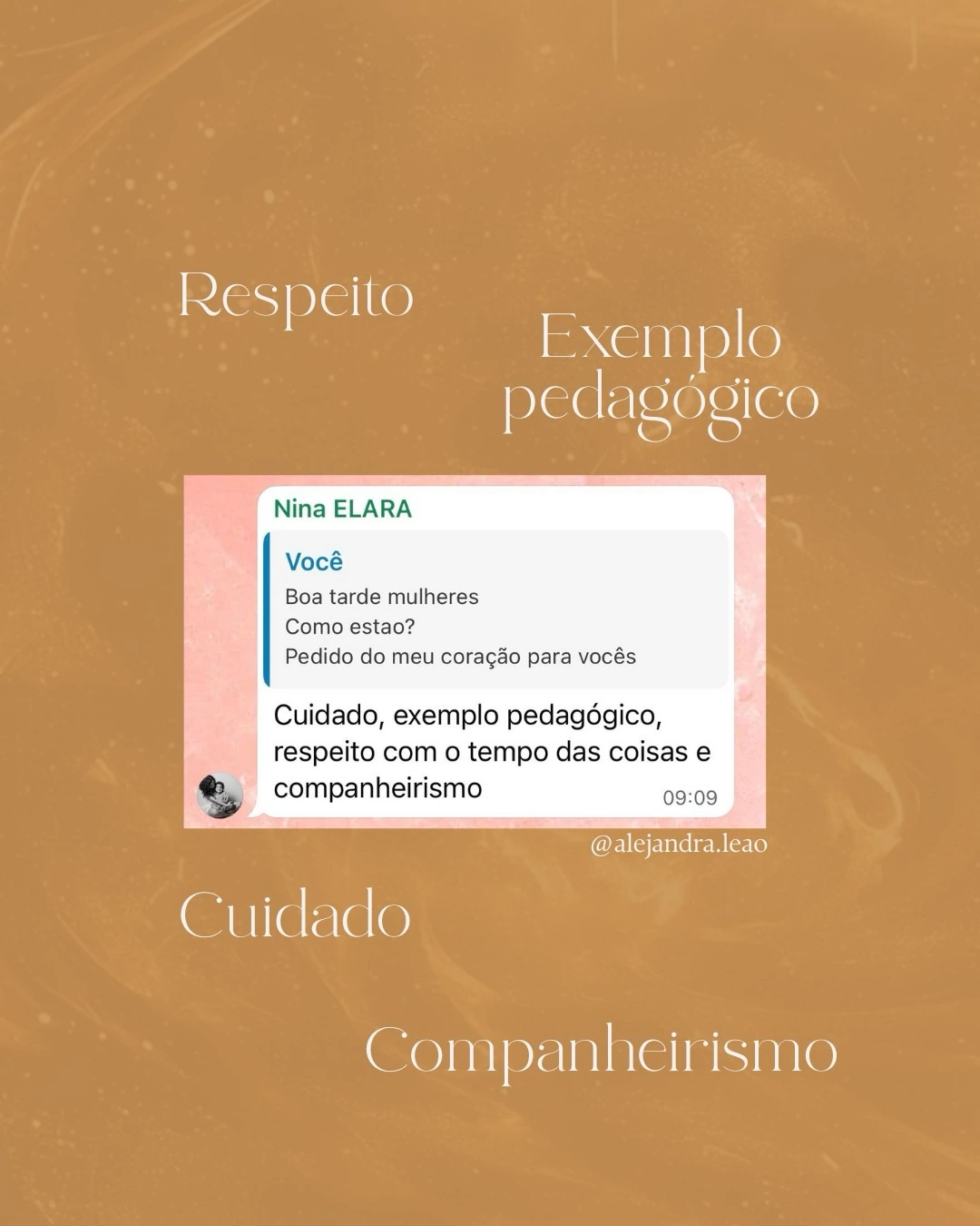 Respeito, cuidado e companheirismo — print publicado por Alejandra Leão no Instagram.