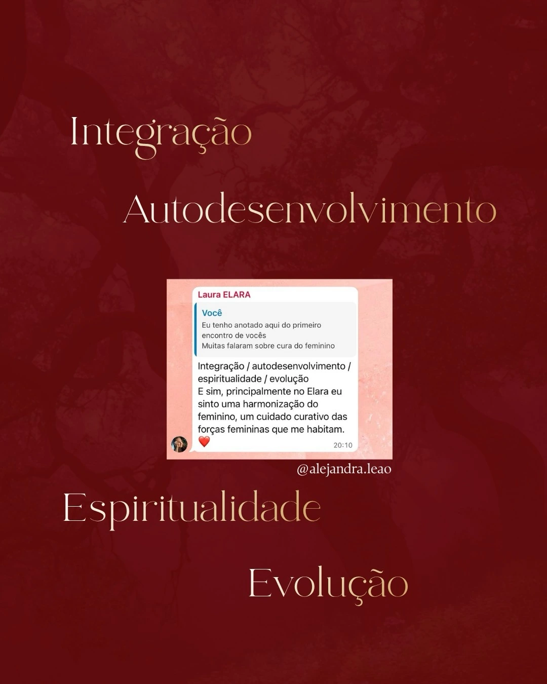 Integração e autodesenvolvimento — print publicado por Alejandra Leão no Instagram.